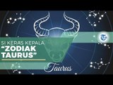 Taurus - Karakteristik Zodiak Taurus