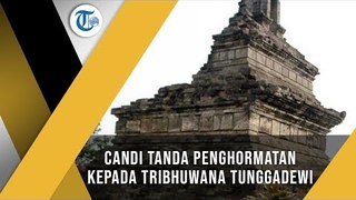 Candi Rimbi, Candi Peninggalan Majapahit di Jombang, Jawa Timur