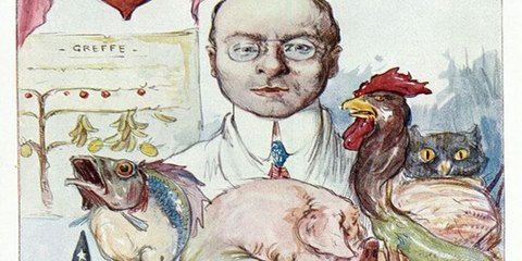 Fe y Ciencia: Alexis Carrel