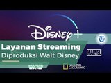 Disney , Layanan Streaming Disney