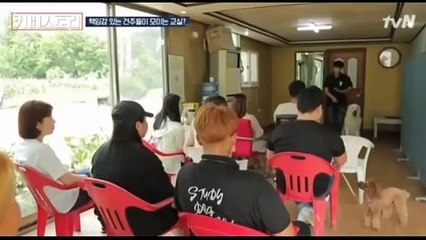 강원도 강아지훈련소 애견 훈련학교 비용 견적 스터디독스쿨