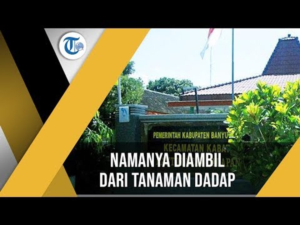 Desa Dadapan, Sebuah Desa di Wilayah Kabat, Kabupaten Banyuwangi, Provinsi Jawa Timur