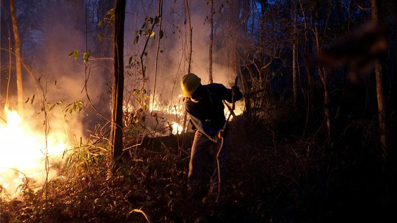 In Bolivia dove l'alta frequenza di incendi ha...