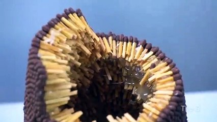 70,000 Art Matches chain reaction burning effect