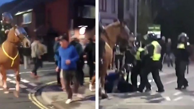Un supporter de football fait le malin face à un policier à cheval mais finit rapidement par le payer