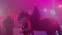 Ils font venir illégalement un cheval déguisé en licorne dans une discothèque au Havre