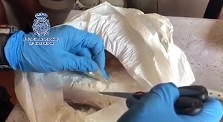 Download Video: Tres detenidos con 20 kilos de cocaína ocultos en dos viviendas