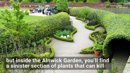 Beautiful But Deadly: This is the World's Most Dangerous Garden
