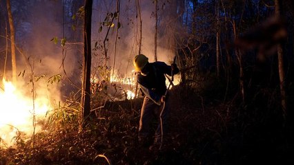 Amazonas brennt: Bolsonaro, Morales unter Beschuss