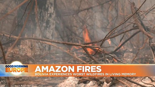 Amazon Fires: Bolivia experiences worst wildfires in living memory