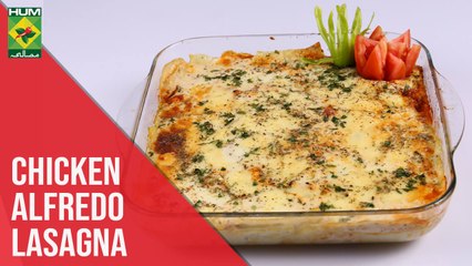 Chicken Alfredo Lasagna | Quick Recipe | Masala TV