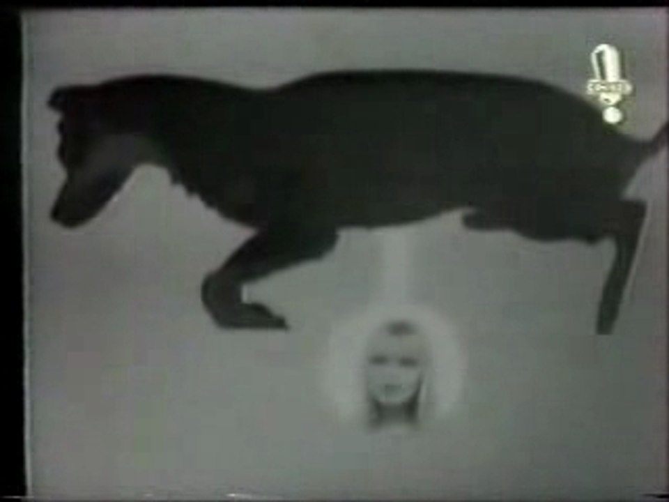 Gall France - J'ai Retrouvé Mon Chien 1966