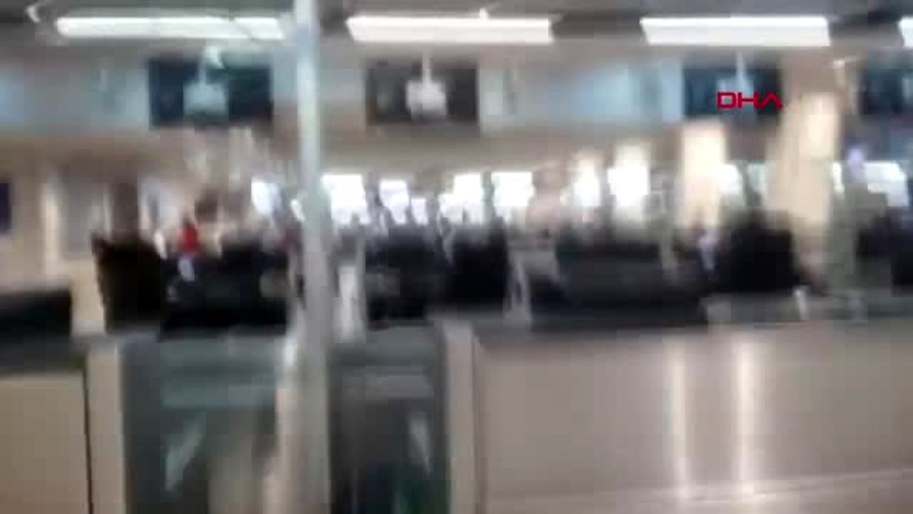 Havalimanı terminaline tilki girdi