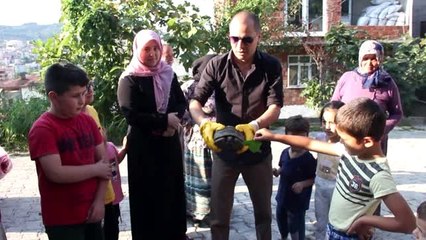 Çocukların bulduğu kara kaplumbağasını sahiplendi - ORDU