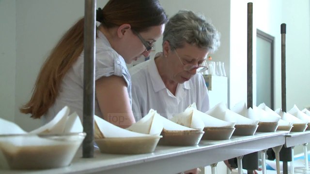 Merret në pyetje Niko Peleshi, “pse urdhëroi shitjen e SiliconMix bllokuar nga AKU?”