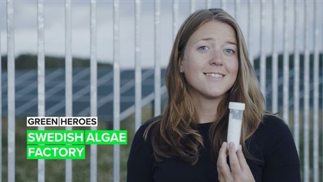 Green Heroes: The start-up that's using algae to level up solar panels