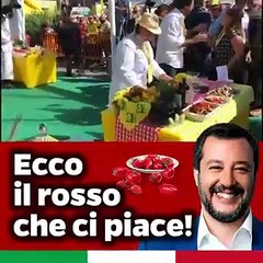 Bologna - Salvini e il pomodoto italiano Ecco il rosso che ci piace (29.09.19)