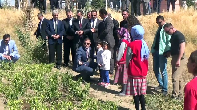 Okul bahçesinde yetiştirip, ihtiyaç sahibi ailelerle paylaşıyorlar - BİTLİS