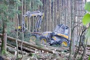 Des habitants de la vallée de la Doller dénoncent le mode d'exploitation forestière dans le massif du Sprinckelsberg et demande que la population soit associée aux choix de gestion sylvicole
