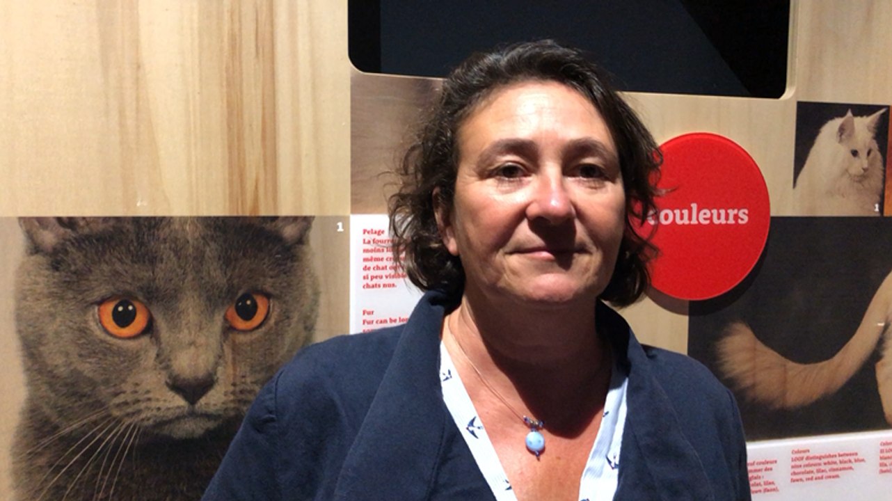 Rennes. L'exposition chiens et chats à l'espace des sciences