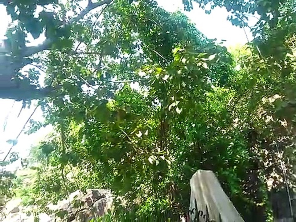 Tea Smell Nhà Thờ Núi Nha Trang P9