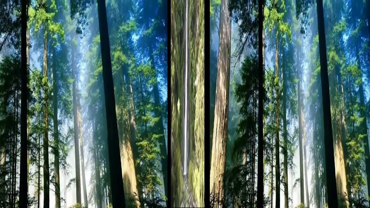 GEÇTİ GİTTİ ZAMAN ٭٭ müzik İLGÜN SOYSEV ٭٭sözler Aynur AVCI