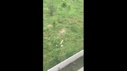 Troca de tiros intensa após roubo a banco no Tatuquara, em Curitiba