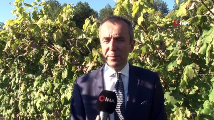 Yerli tohumla 12 çeşit ürünün üretimi yapıldı