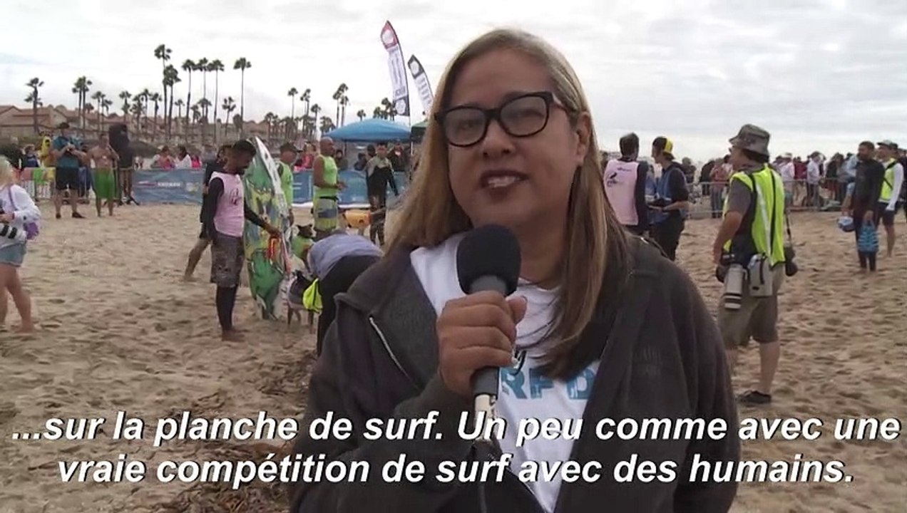 USA: des chiens surfeurs laissent les humains "bouche bée"