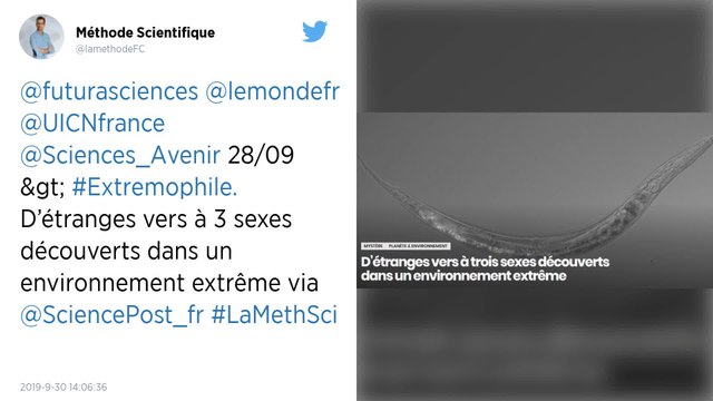 D’étranges vers à trois sexes découverts dans un lac américain