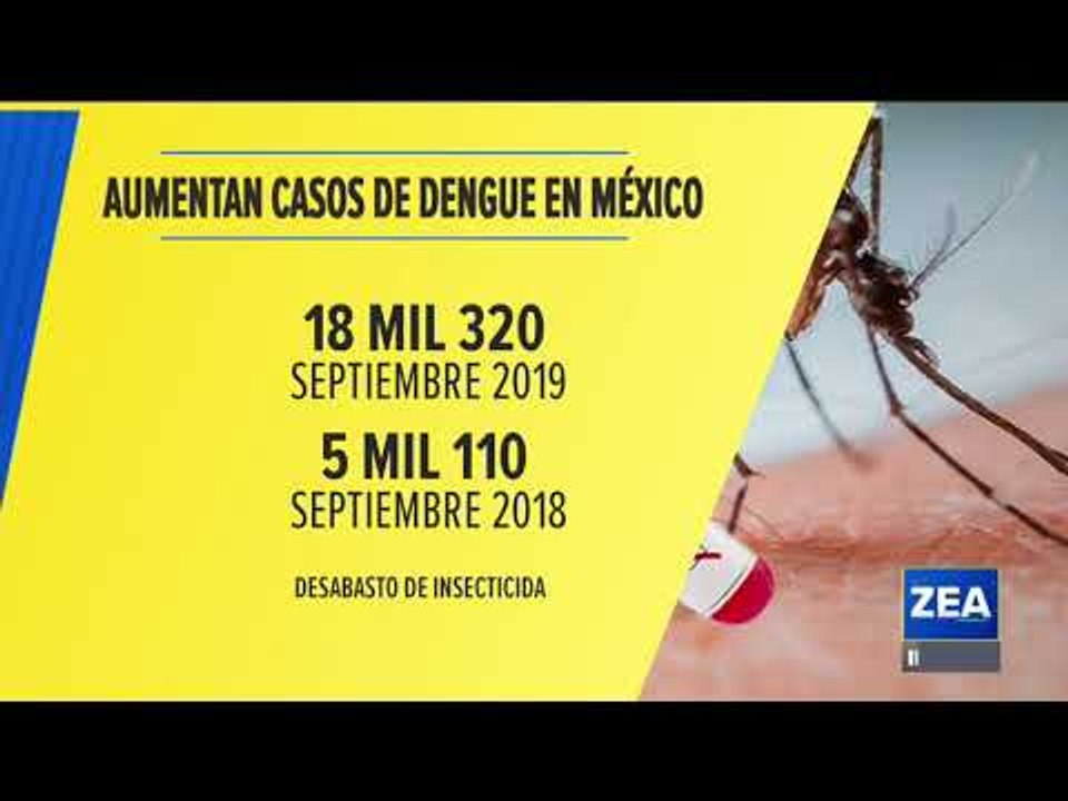 ¡Se triplican los casos de dengue en México! | Noticias con Francisco Zea