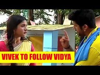 Vidya: Vivek to follow Vidya