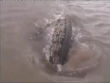 Ces pecheurs n'ont rien vu venir... Même pas l'énorme crocodile