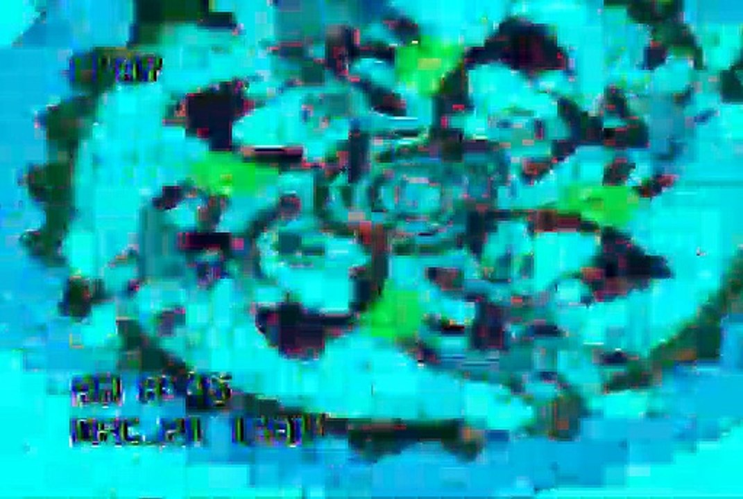 MVGEN: Boards of Canada : Telephasic Workshop