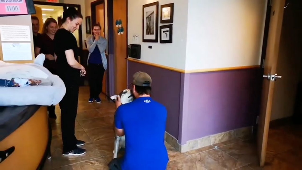 Man Reunited With Dog He Lost 4 Years Ago