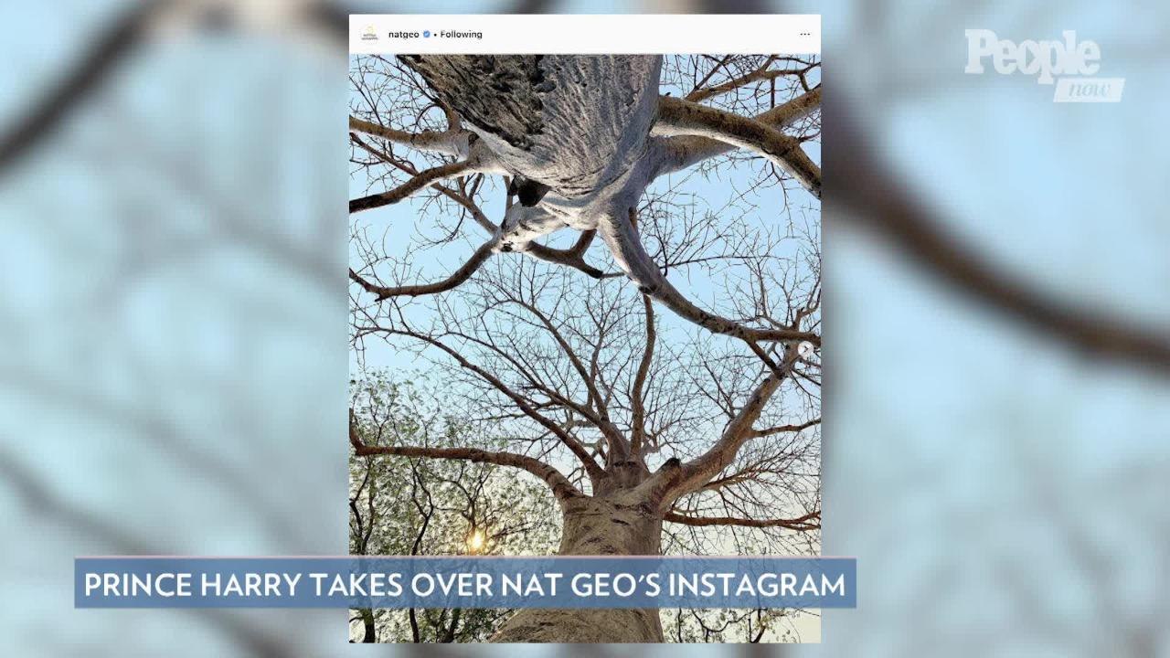 Royal First! Prince Harry Takes Over National Geographic's Instagram — and Shares His Own Photo