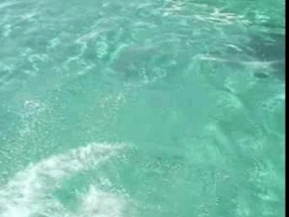 Caribbean Trip (5)