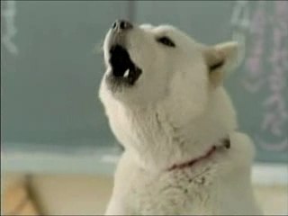 Mitsuki Tanimura & Aya Ueto - SoftBank white GAKUWARI cf