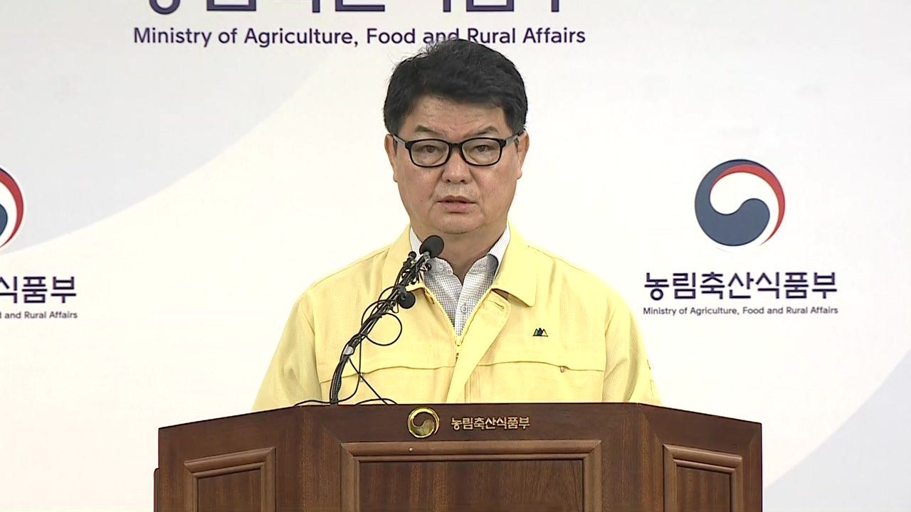 [현장영상] 농식품부 "매몰지 점검 실시...태풍 대비 조치" / YTN