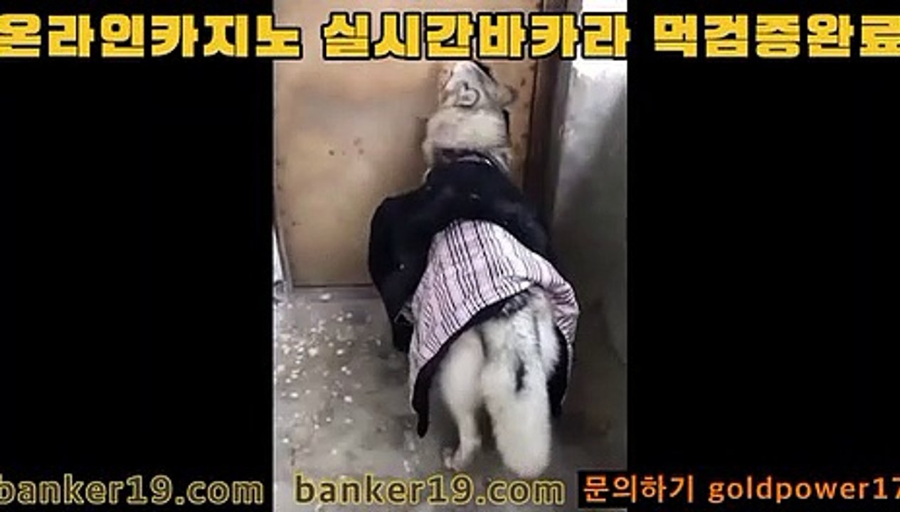 검증완료요~       #ㅂㅏ카라       #ㅂㅏ카ㄹㅏ하는곳       #골드ㅋㅏㅈㅣ노       ????????       #바ㅋㅏ라사ㅇㅣ트       ??????       [#홍정욱]       #ㅋㅏ지노        구경후가기▶ banker376.com 검증완료입니다