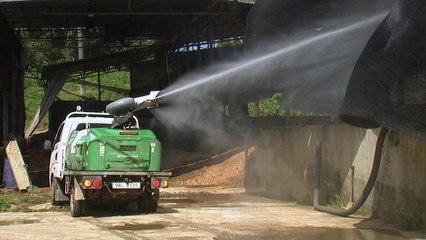 "강화는 예방적 살처분 계속...태풍 북상에 다시 긴장" / YTN