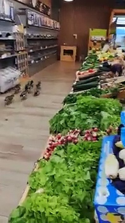 des canards chez biocoop