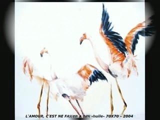 VIDEO OISEAUX