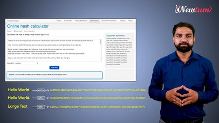 Understand What is Hashing and How Hashing Works in Blockchain