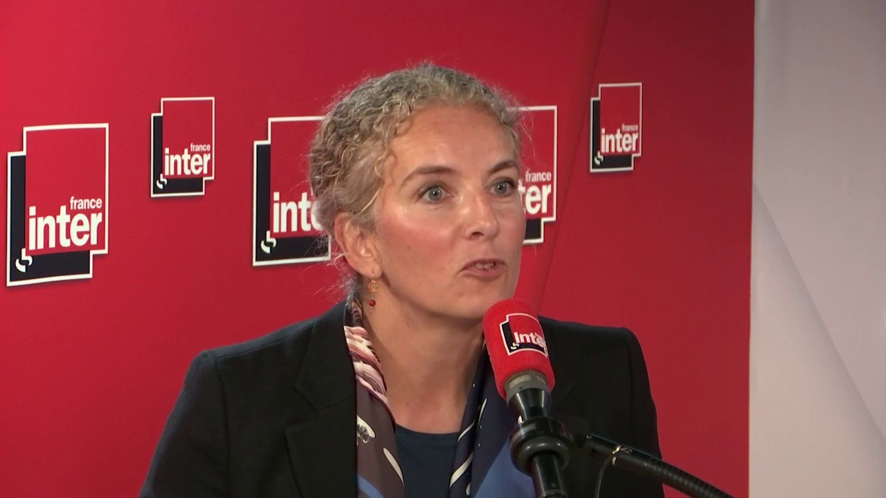 Delphine Batho, présidente de Génération Écologie, sur les mesures de compensation carbone annoncées par Air France : "C'est du greenwashing. Planter quelques arbres, c'est pas sérieux"