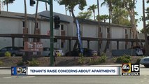 Tenants, landlords tell conflicting stories about 'Tides' apartments