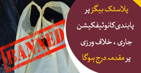 Sindh government bans use of plastic bags