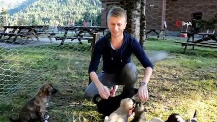 Annesiz kalan 12 yavru köpeğe gözü gibi bakıyor