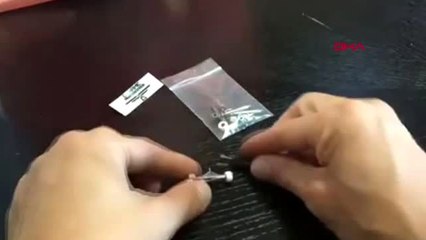 Bacakları ters doğan kaplumbağanın yürümesini sağladı