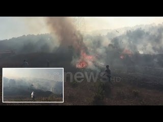 Digjen ullishtet në Vlorë, banori për zjarrin: Ishte, hapi krahët shqipe!